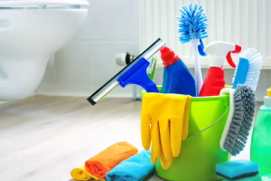 Messie Reinigung Rastatt